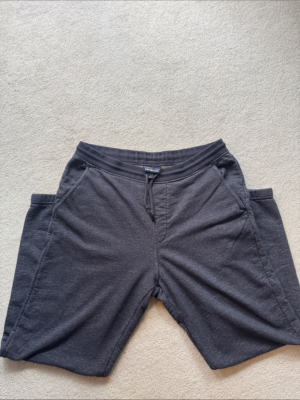 Patagonia Men’s sweatpants, size L